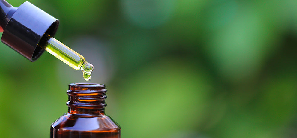 Phytothérapie : les secrets des plantes pour un bien-être naturel