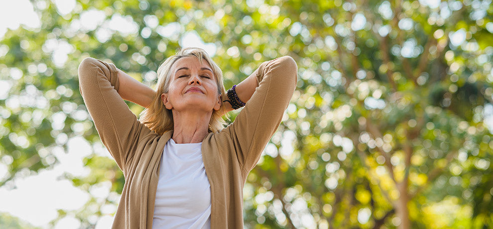 Phytothérapie pour la ménopause : des plantes pour vous accompagner