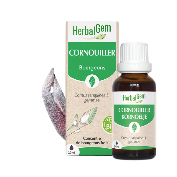 030143-fr20-maceratsmeres-cornouiller-bio-herbalgem-01.jpg