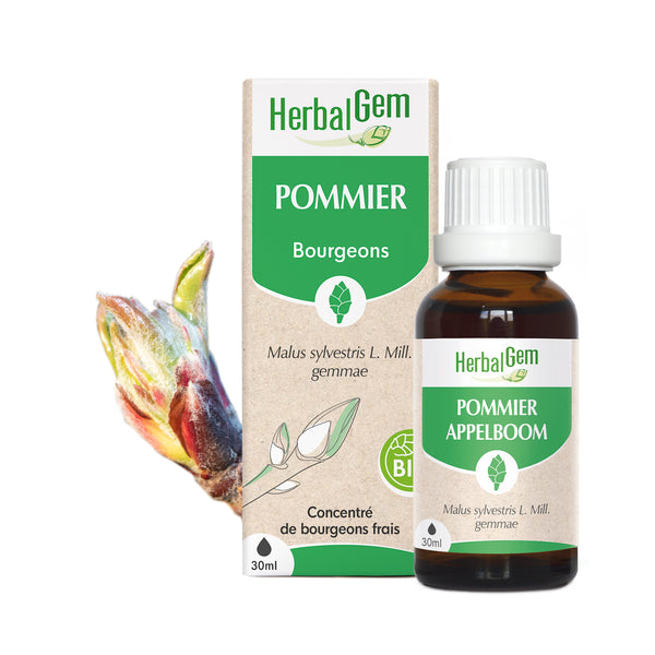 030223-fr20-maceratsmeres-pommier-bio-herbalgem-01.jpg