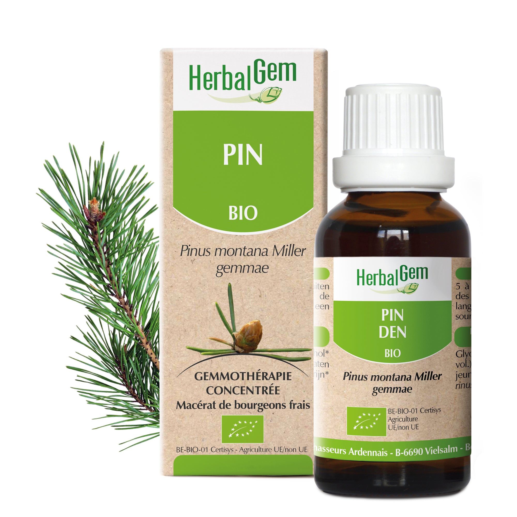 030240-fr20-maceratsmeres-pindesmontagnes-bio-herbalgem-01.jpg