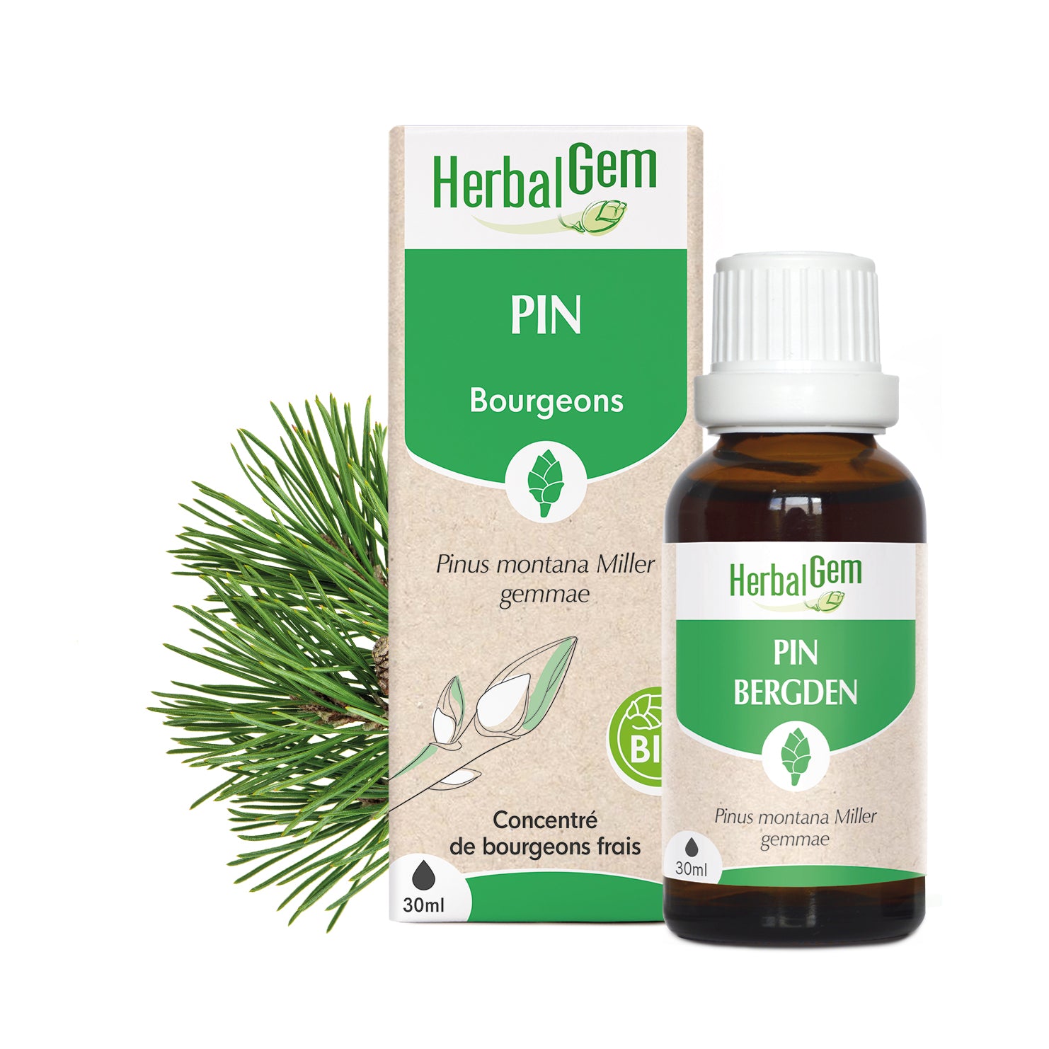 030243-fr20-maceratsmeres-pin-bio-herbalgem-01.jpg