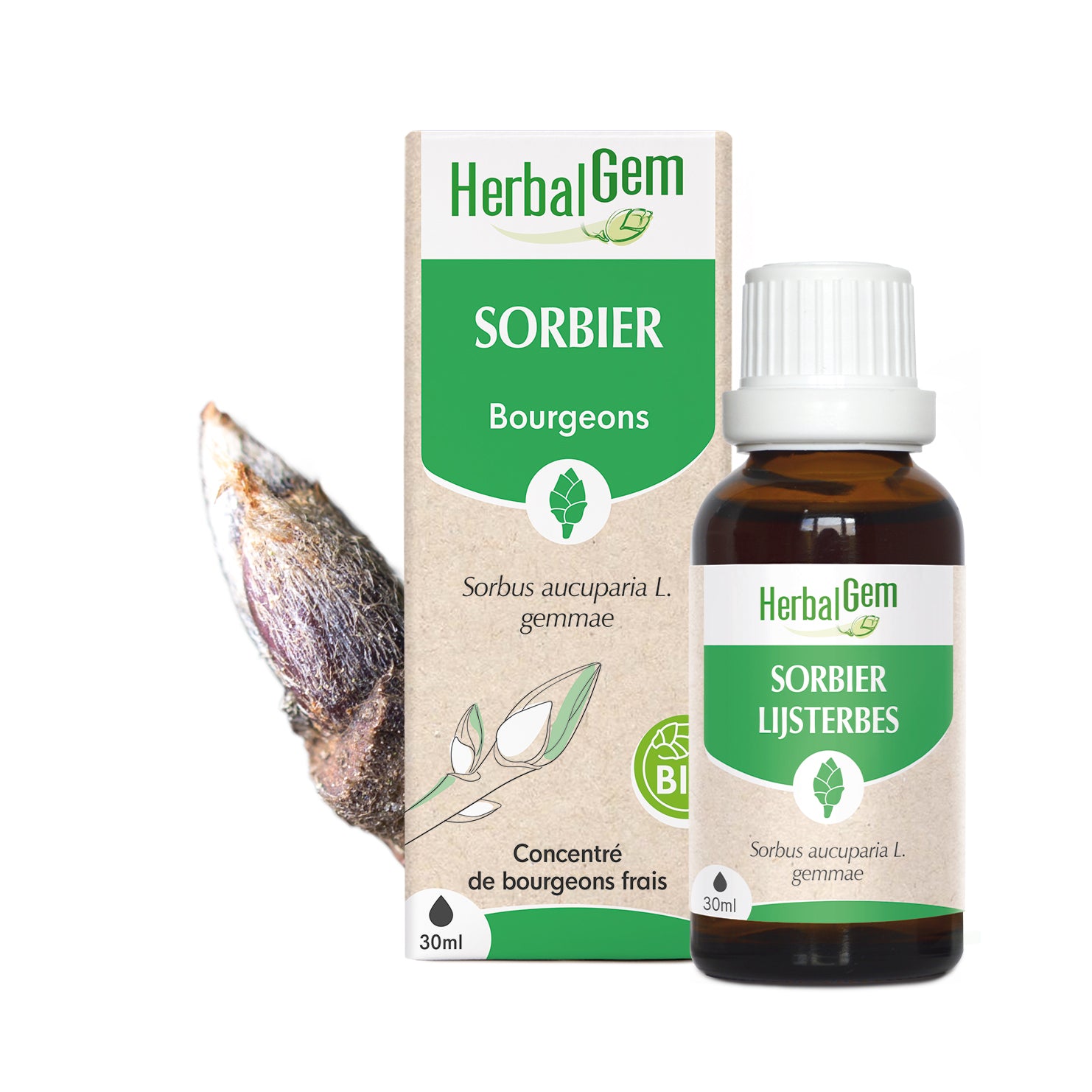 030380-fr20-maceratsmeres-sorbier-bio-herbalgem-01.jpg