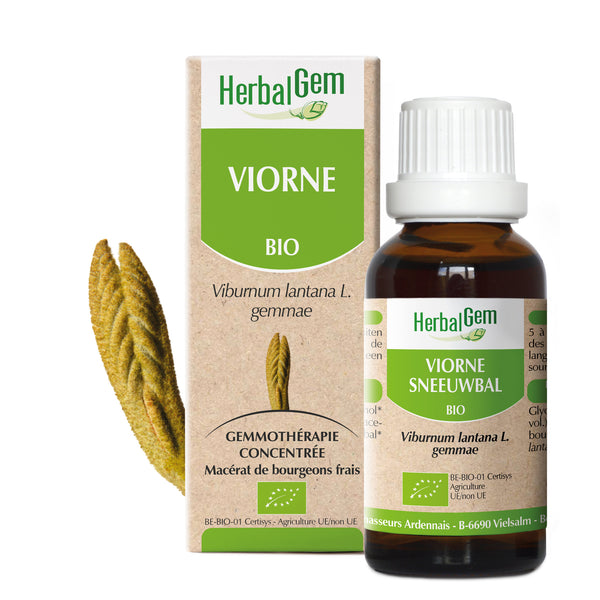 030443-fr20-maceratsmeres-viorne-bio-herbalgem-01.jpg