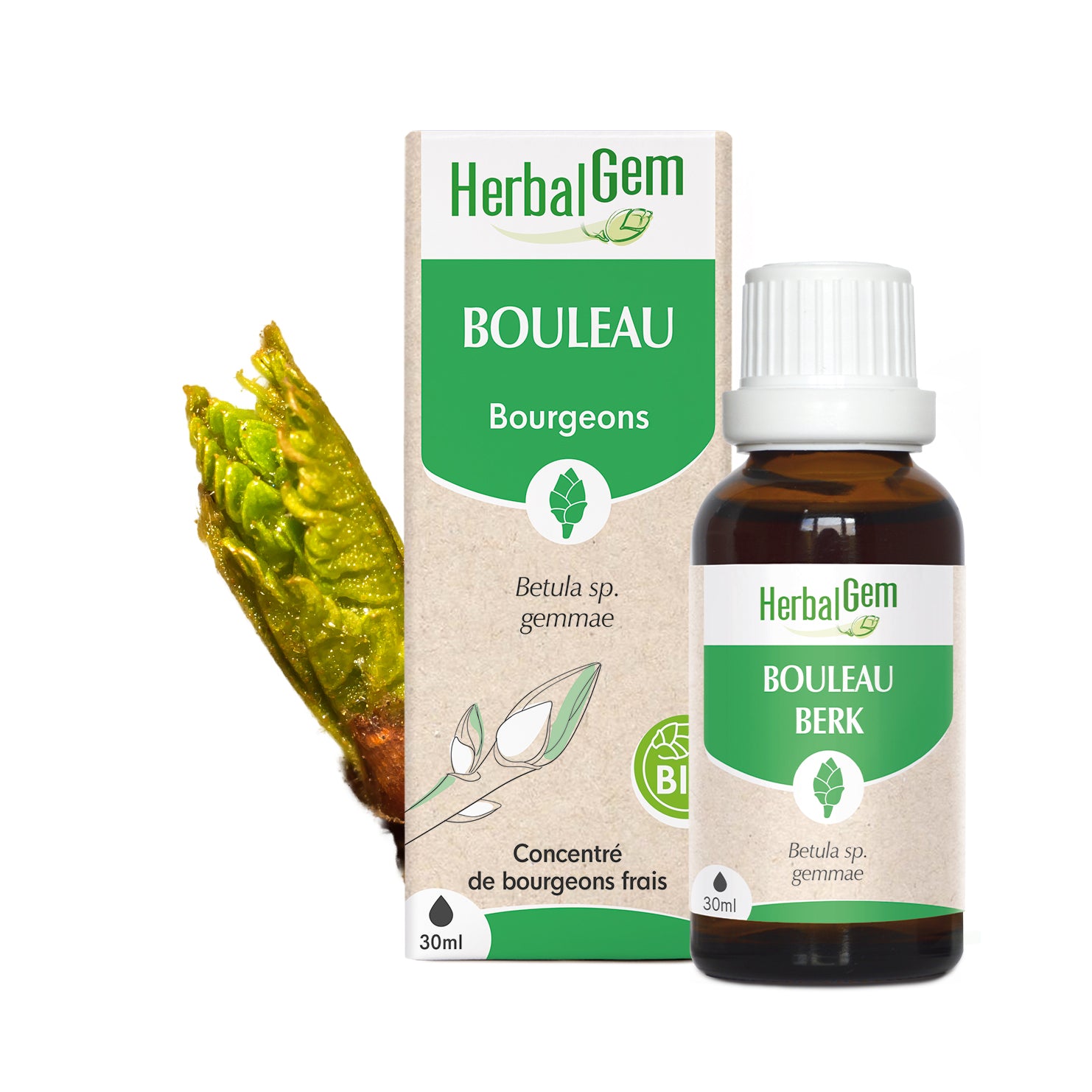 030573-fr20-maceratsmeres-bouleau-bio-herbalgem-01.jpg