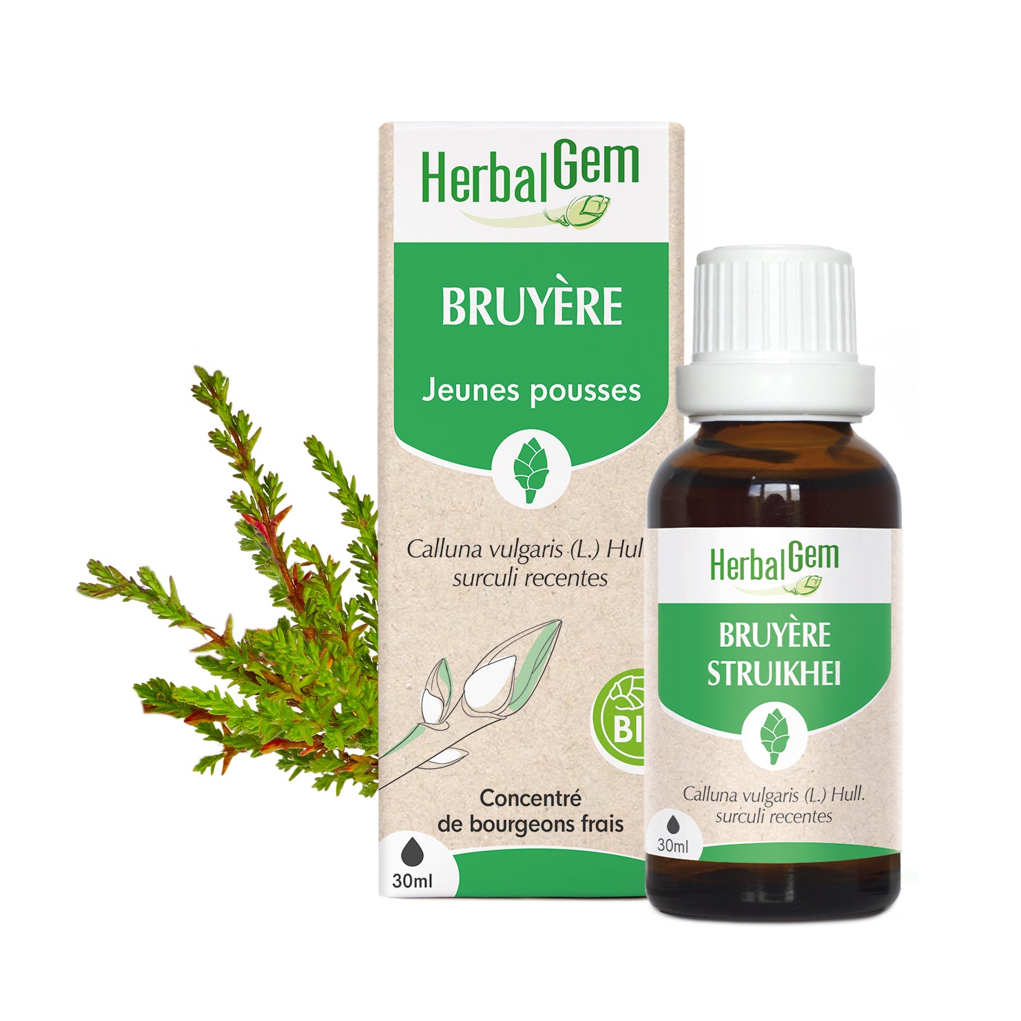 030695-fr20-maceratsmeres-bruyere-bio-herbalgem-01.jpg