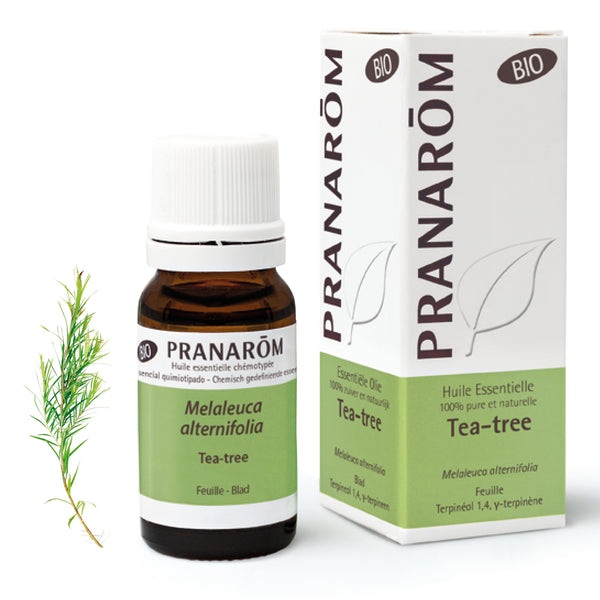 2450-hebio-frnl20-tea-tree-10ml-pranarom-01.jpg