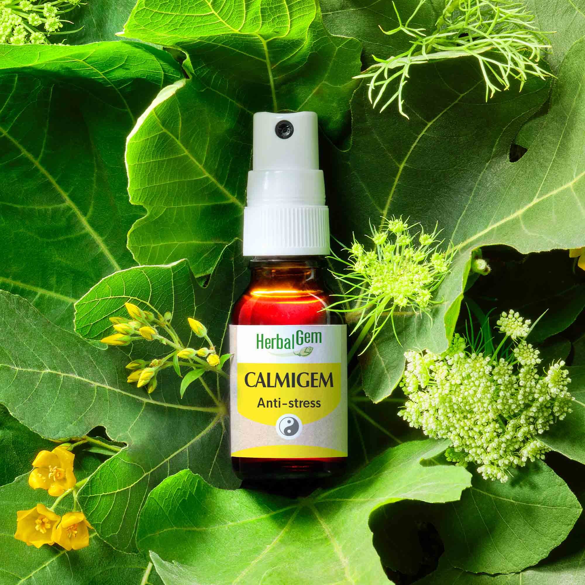 Spray anti-stress Calmigem de HerbalGem posé sur un fond de feuilles et plantes médicinales.