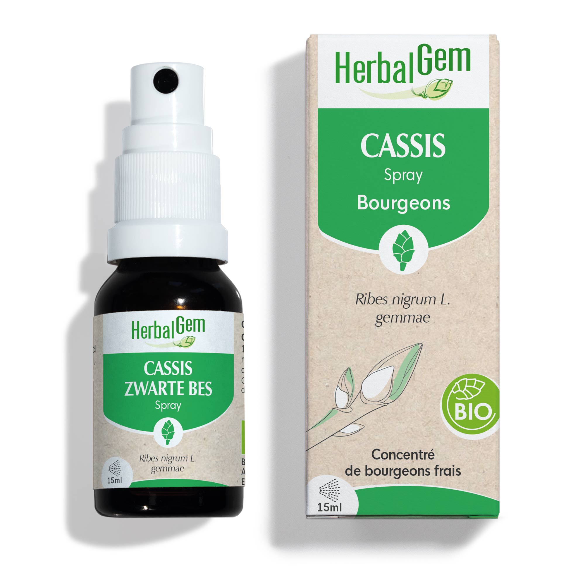 Bourgeon de Cassis - format spray - Bio