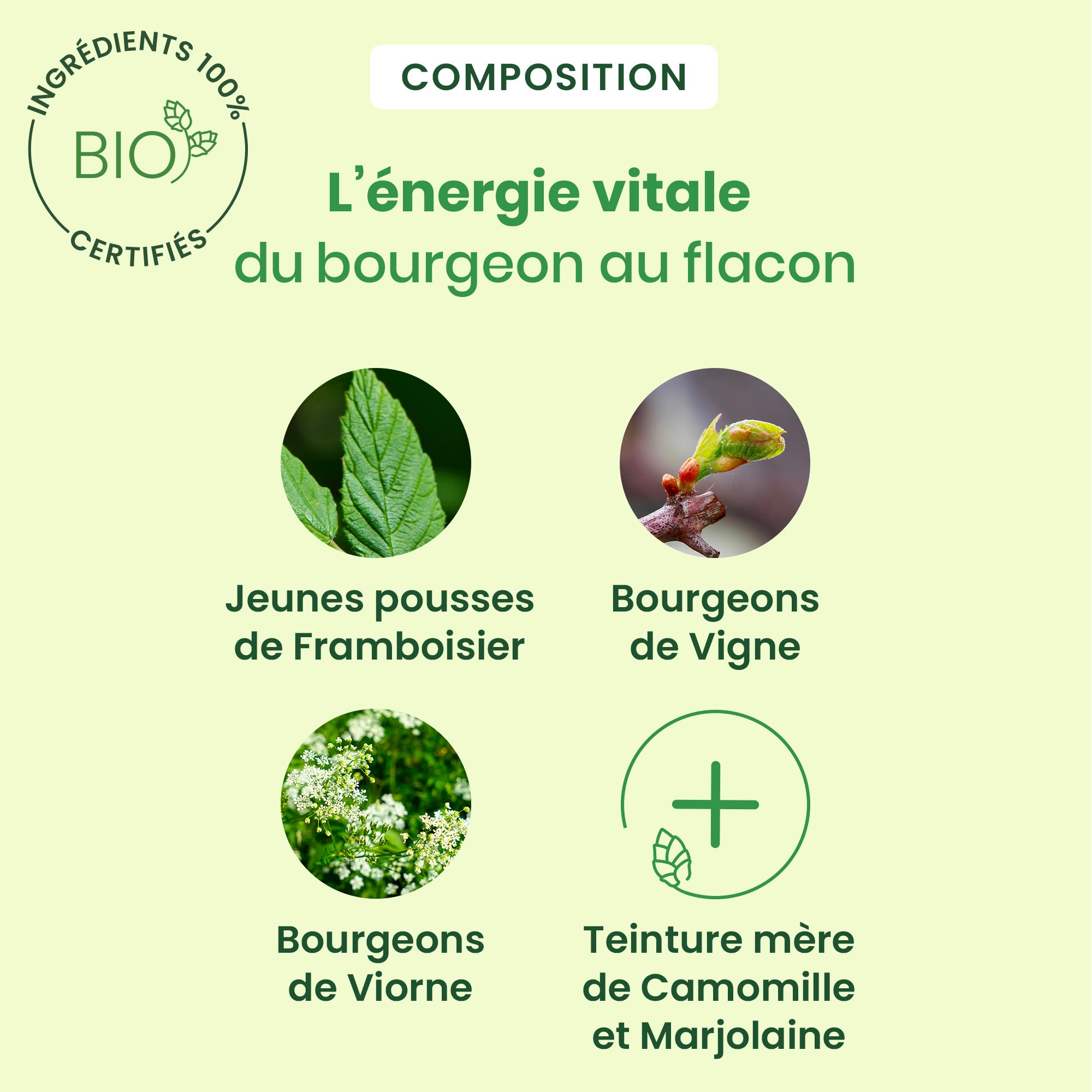 La composition du flacon Feminagem d'HerbalGem de 30ml.