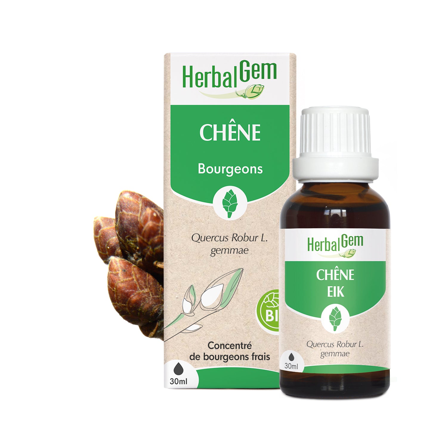 Concentré de bourgeons frais BIO Herbalgem Chêne.