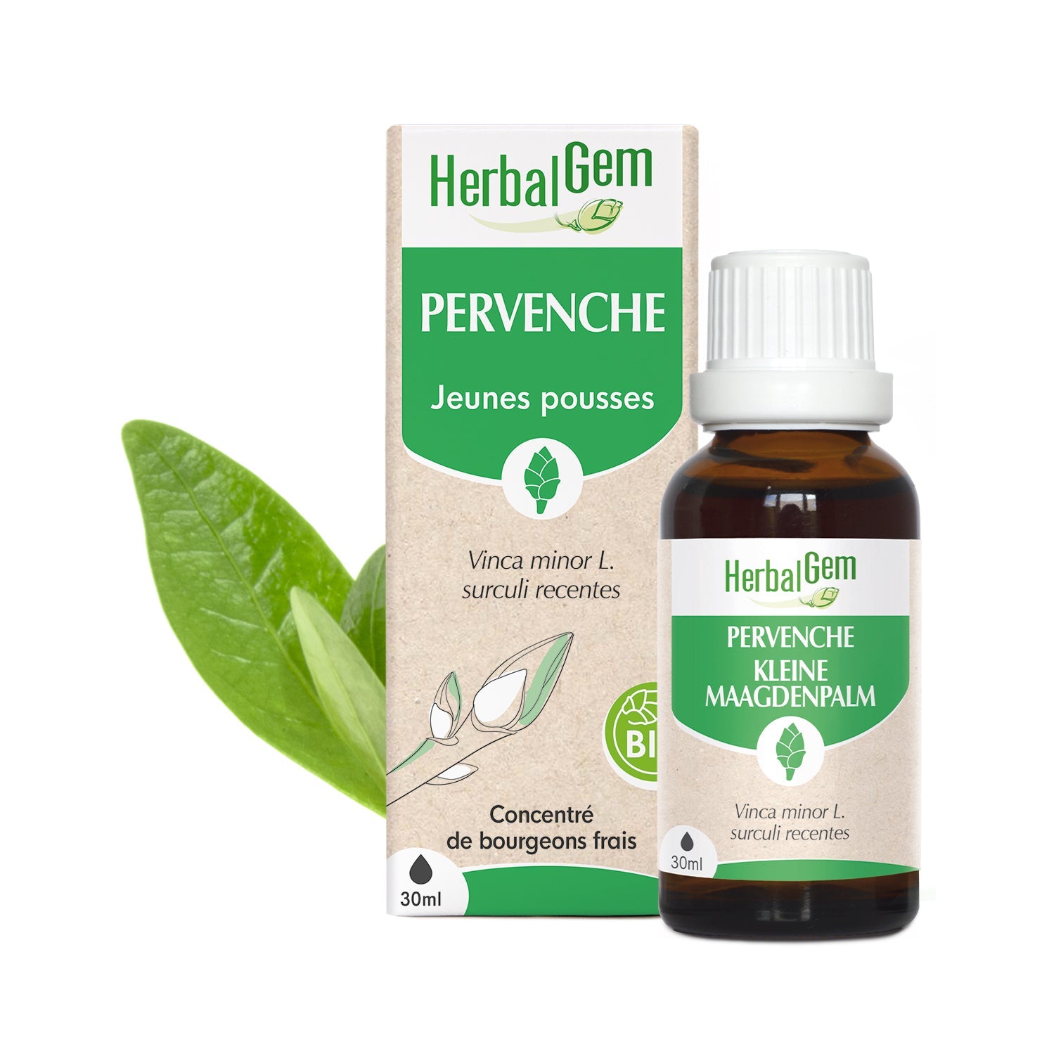 Bourgeon de Pervenche - Bio