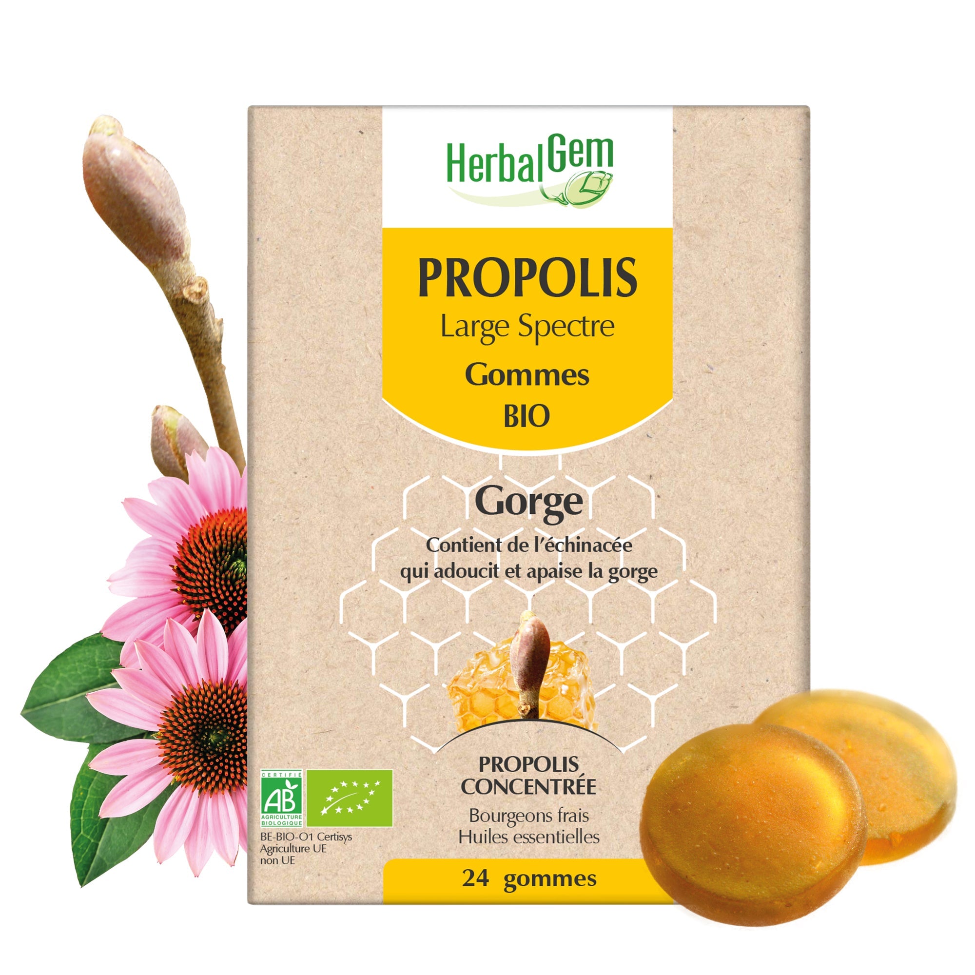 Gommes Propolis Large Spectre - Bio