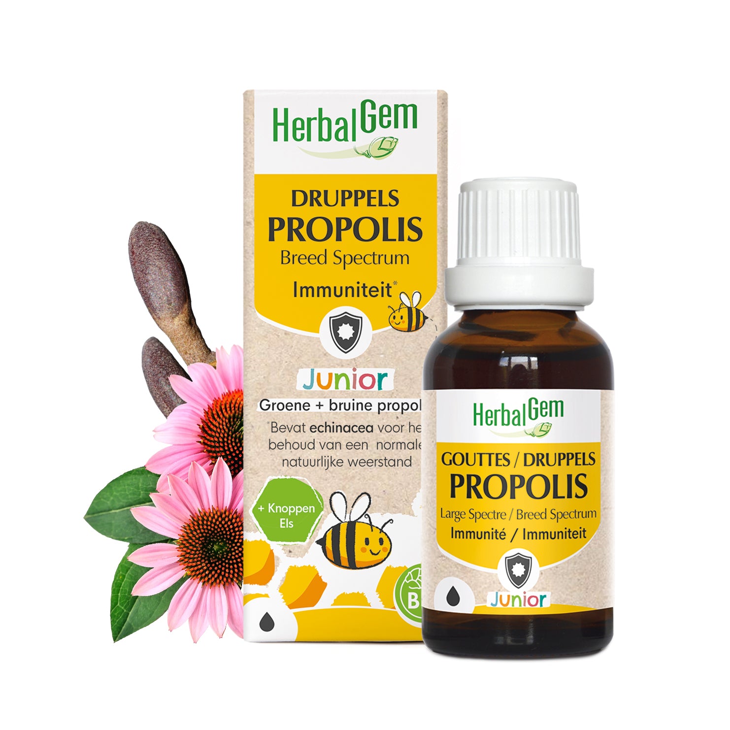 Un flacon de gouttes de propolis Large Spectre d'HerbalGem pour les enfants, pour l'immunité.