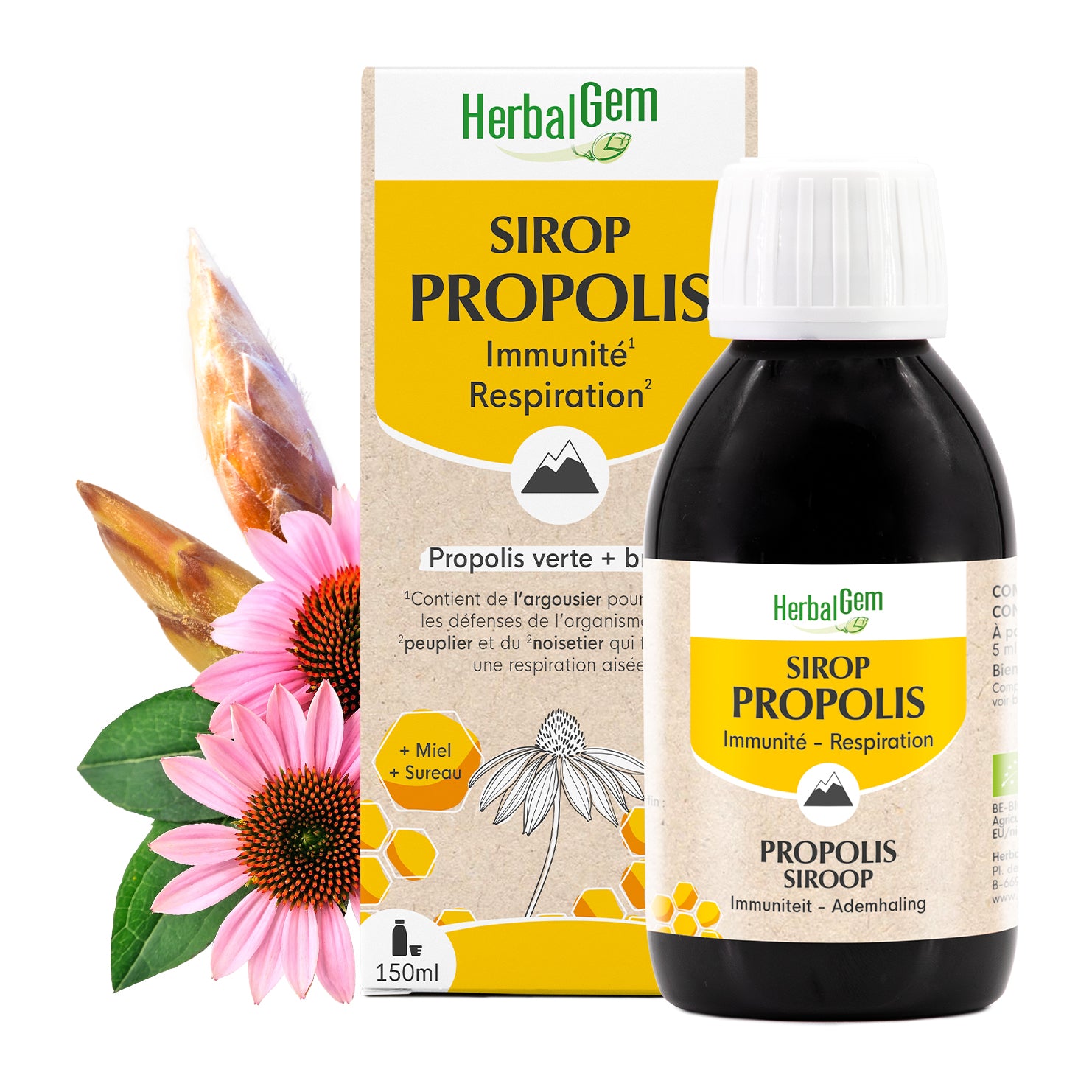 Un flacon de 150ml de sirop de propolis au miel et sureau d'HerbalGem, pour la respiration.
