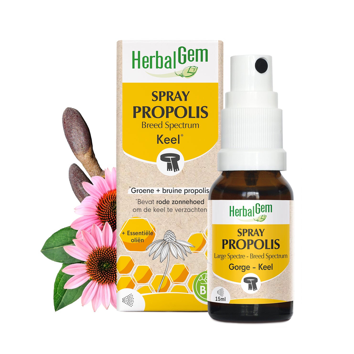 Spray de propolis Large Spectre d'HerbalGem.