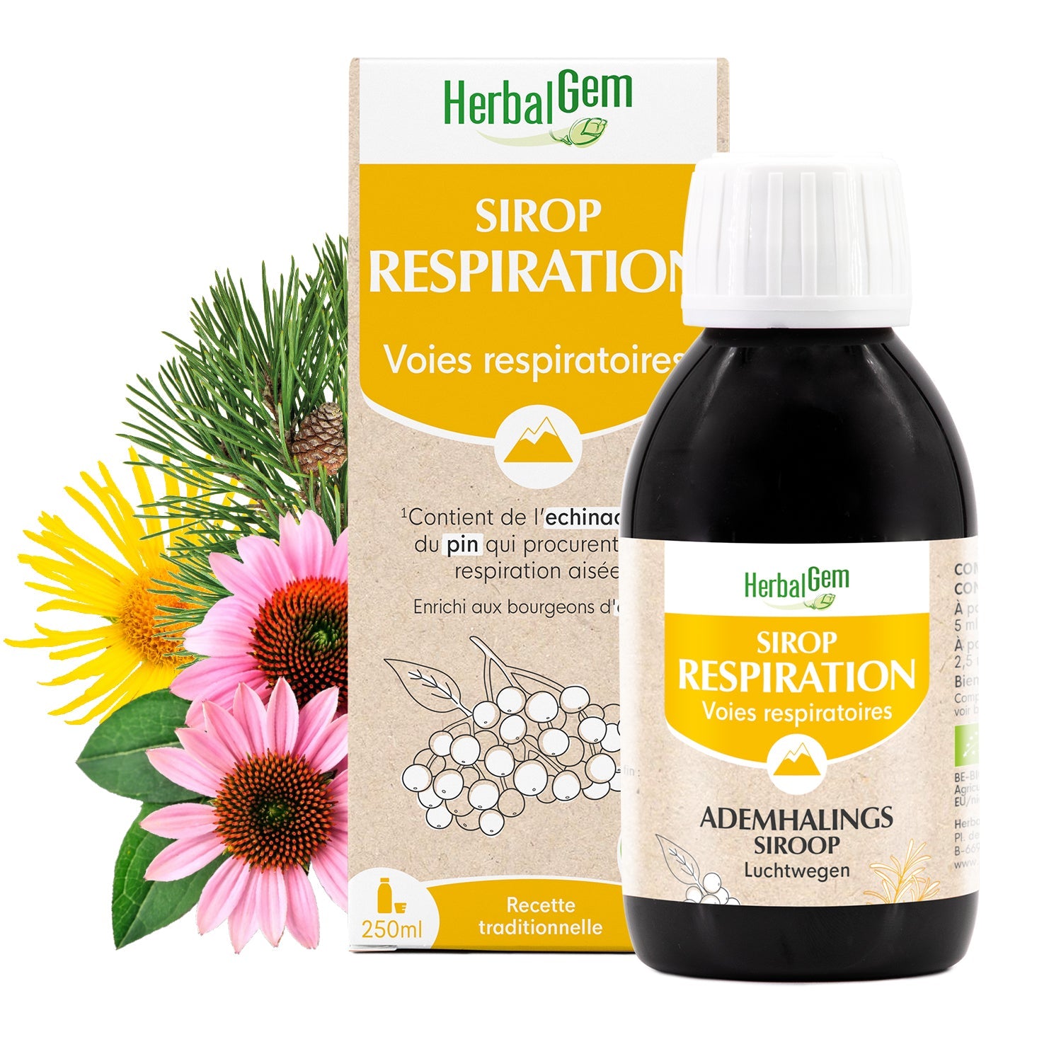 Sirop respiration aux bourgeons de plantes - Bio