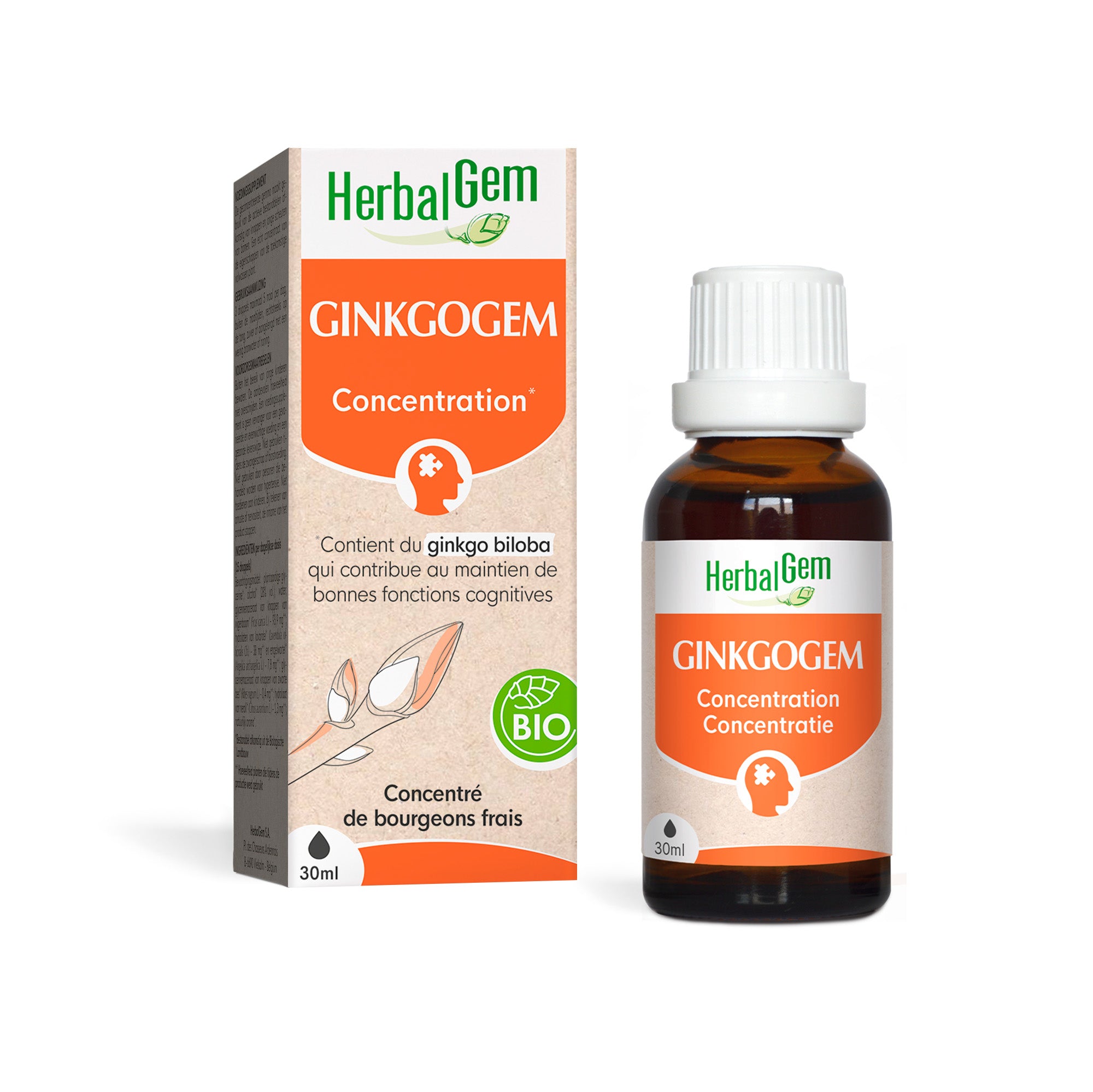 Flacon de 30ml de Ginkogem bio, bourgeons frais du ginkgo biloba pour la concentration par HerbalGem.