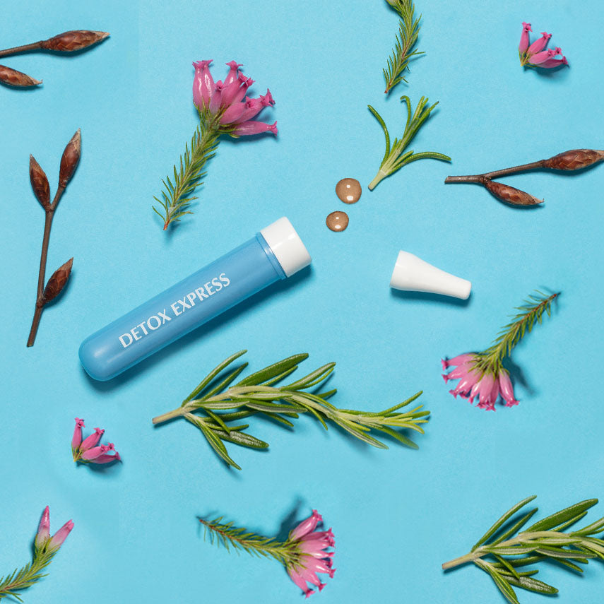 Complément naturel detox Herbalgem aux extraits concentrés de bourgeons pour purification.