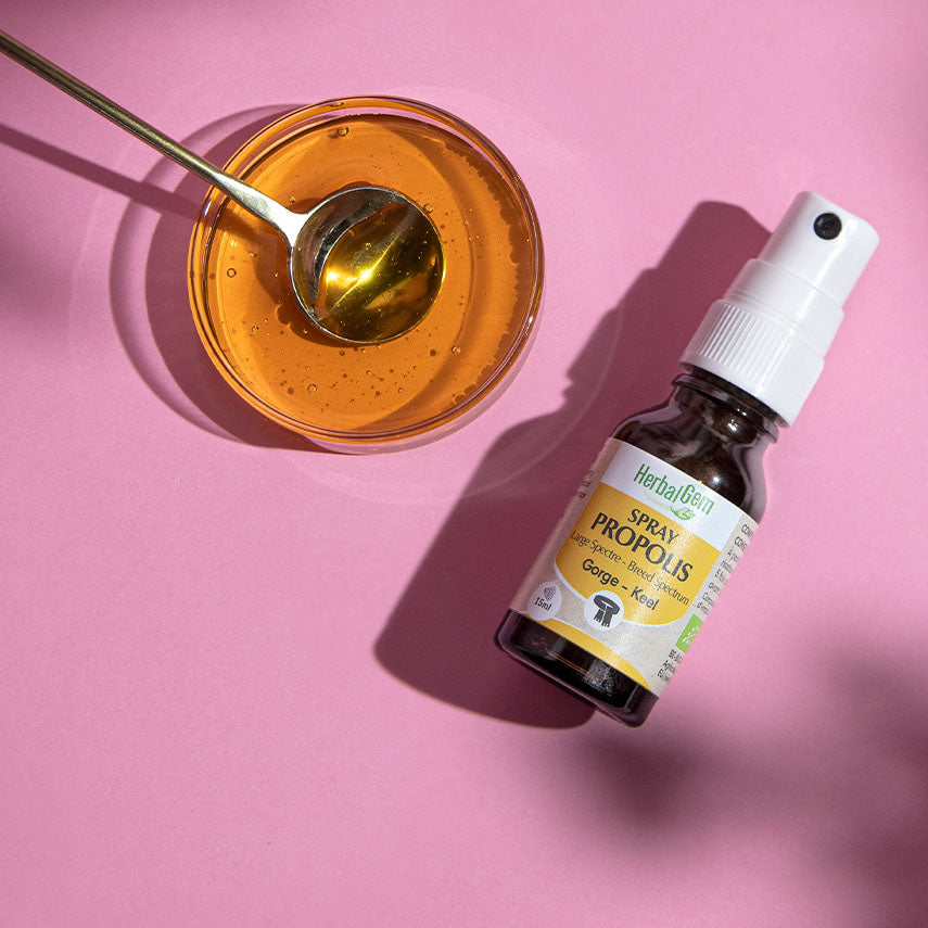 Spray à la Propolis Herbalgem, solution naturelle pour soulager la gorge et renforcer l’immunité.