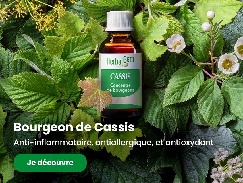 Produits cassis-bio