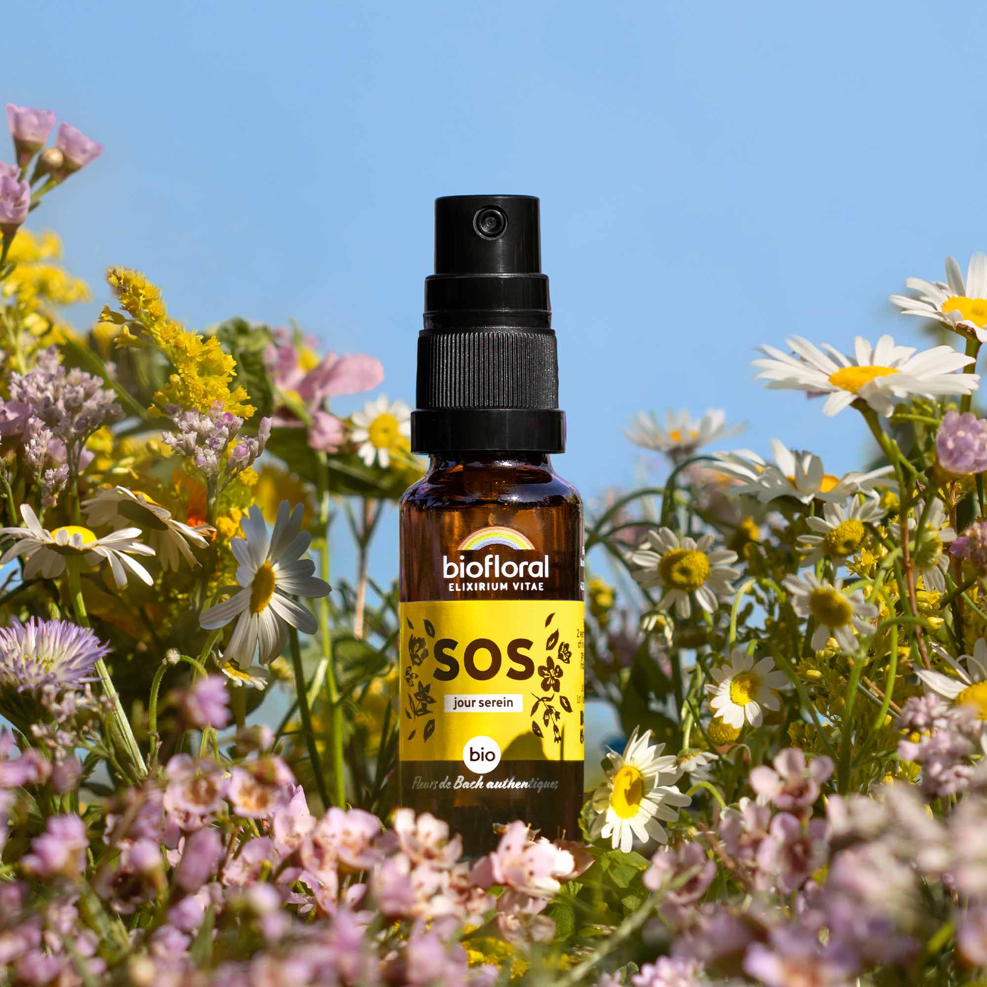 Fleurs de Bach en spray bio Biofloral, allié naturel pour la sérénité et l’équilibre émotionnel au quotidien.