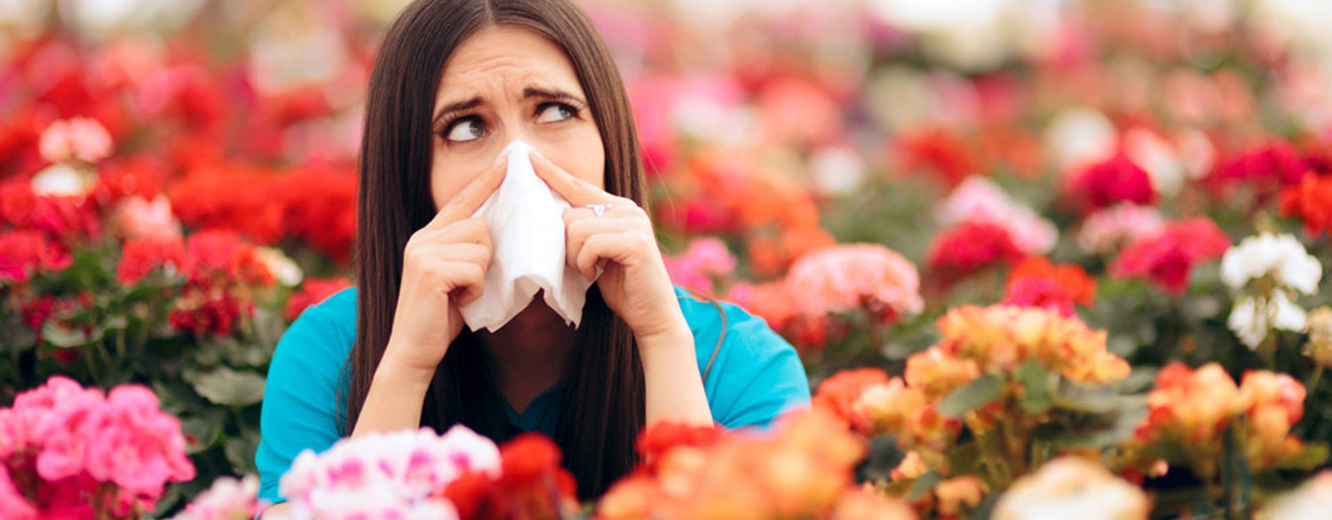Traiter ses allergies avec la gemmothérapie