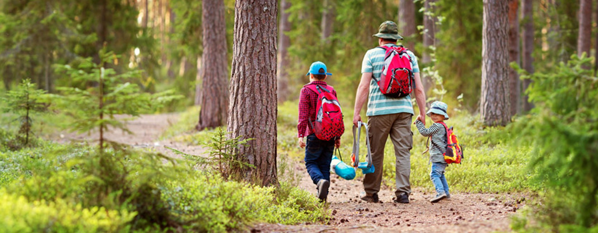 Votre trousse de secours de l'été en gemmothérapie