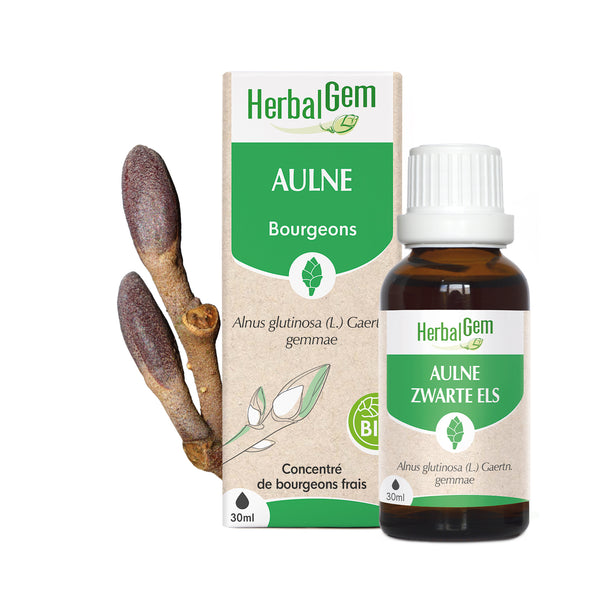030043-fr20-maceratsmeres-aulne-bio-herbalgem-01.jpg