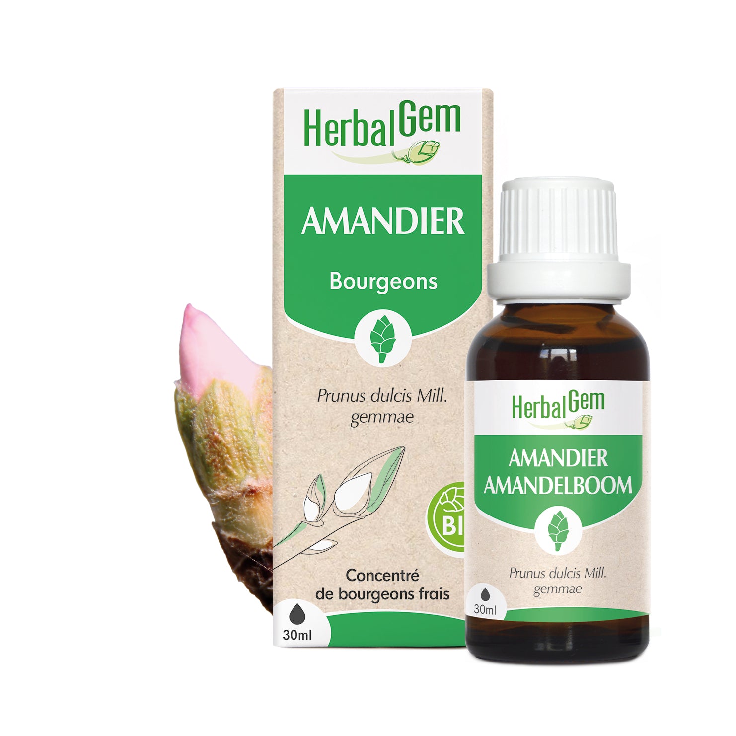 030065-fr20-maceratsmeres-amandier-bio-herbalgem-01.jpg