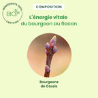 030311-cassis-spray-herbalgem-15ml-fr24-5407008641498-04.jpg