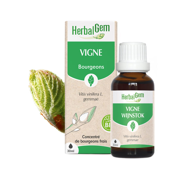 030463-fr20-maceratsmeres-vigne-bio-herbalgem-01.jpg