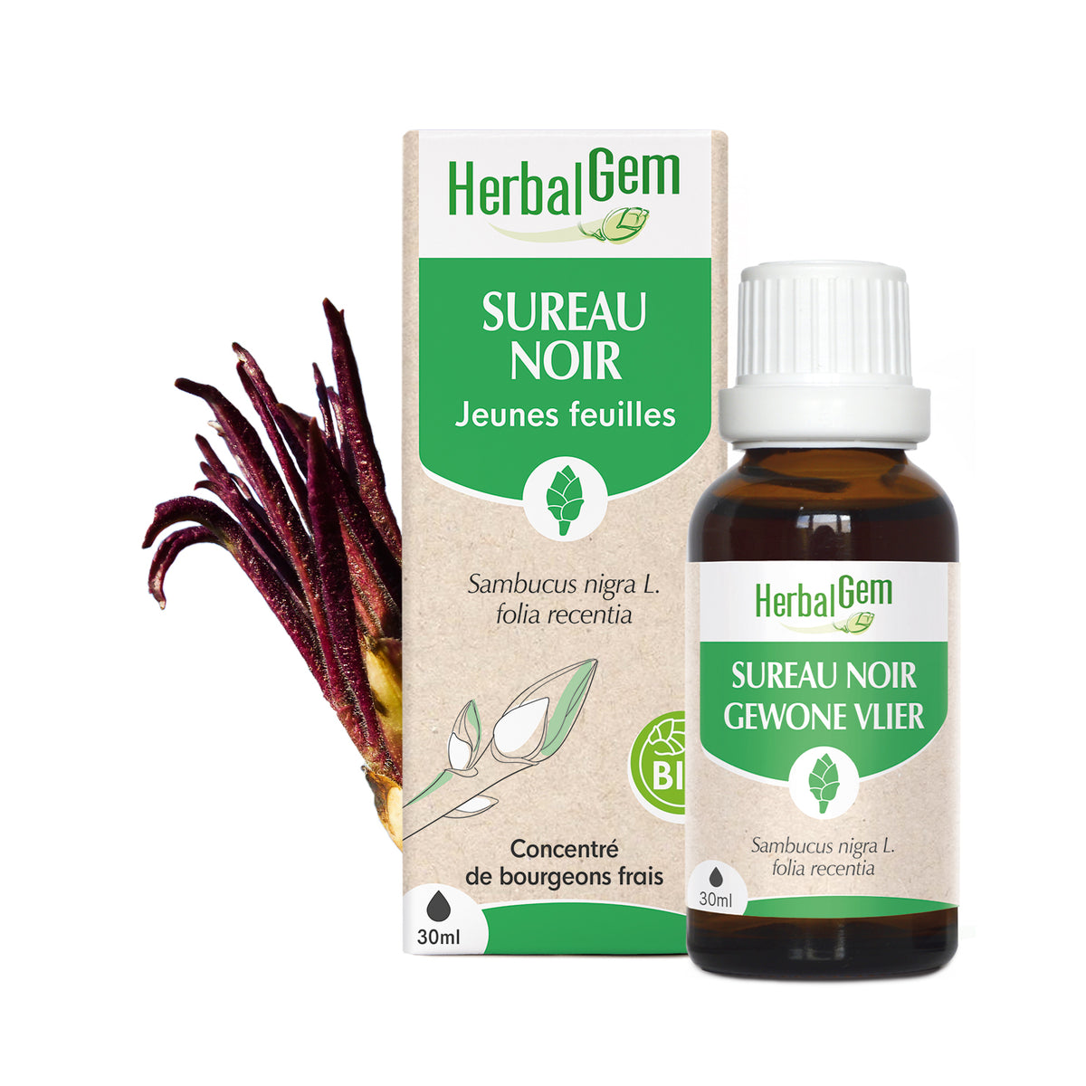 030583-fr20-maceratsmeres-sureaunoir-bio-herbalgem-01.jpg