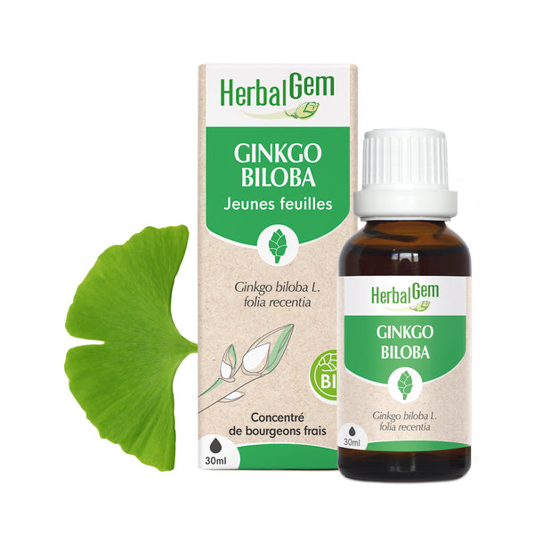030613-fr20-maceratsmeres-ginkgobiloba-bio-herbalgem-01.jpg