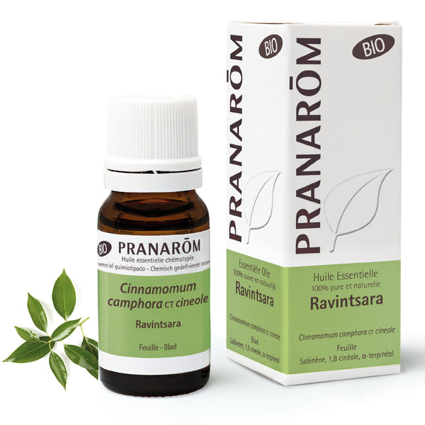 2440-hebio-frnl20-ravintsara-10ml-pranarom-01.jpg