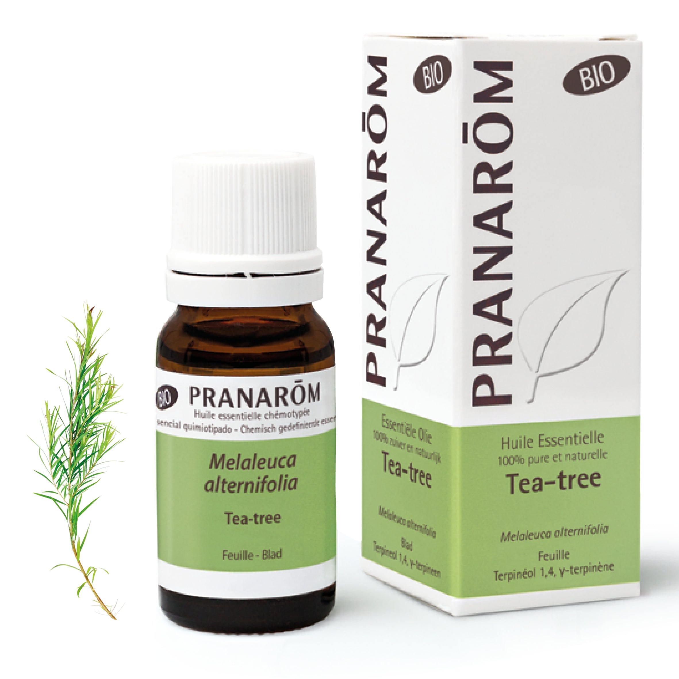 Tea-tree - Bio | Herbalgem