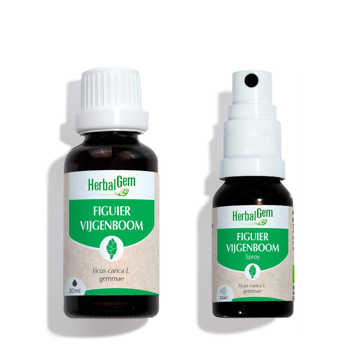 Duo pack Bourgeon de Figuier 30 ML + 15 ML - Bio
