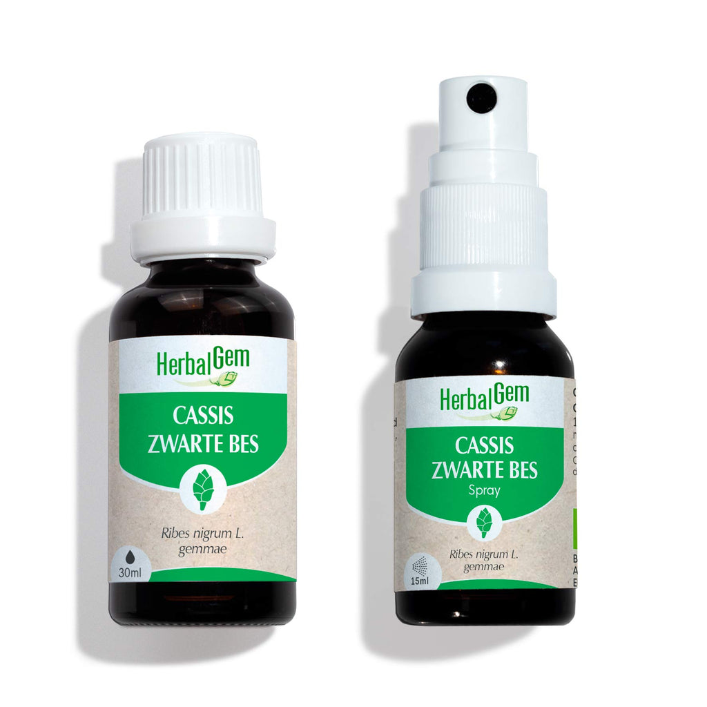 Duo pack bourgeon de Cassis 30 ml + 15 ml - Bio