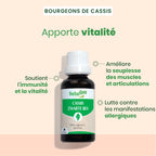 Duo pack bourgeon de Cassis 30 ml + 15 ml - Bio