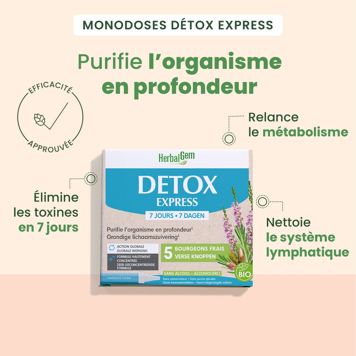 Cure anti-allergies