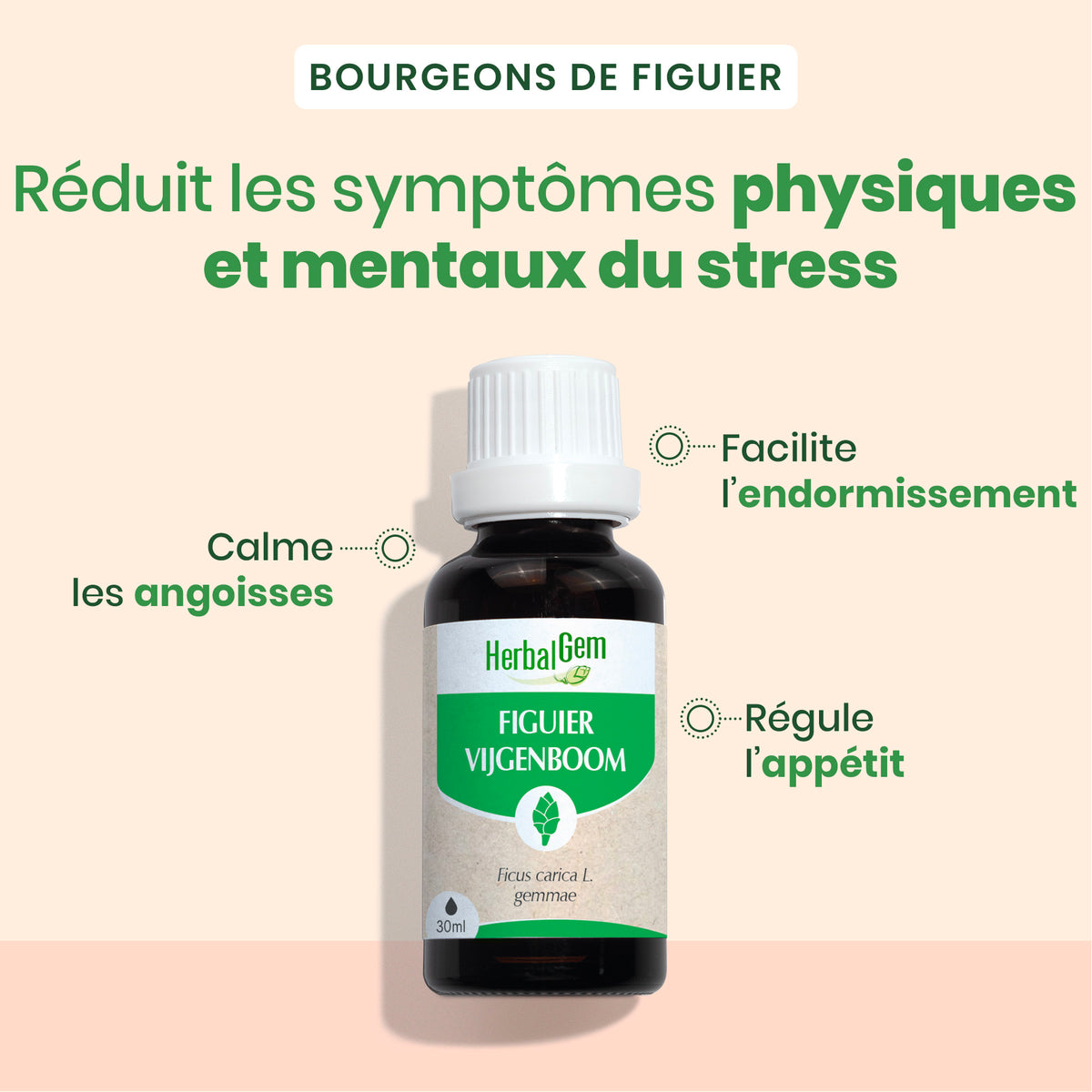 Duo pack Bourgeon de Figuier 30 ML + 15 ML - Bio