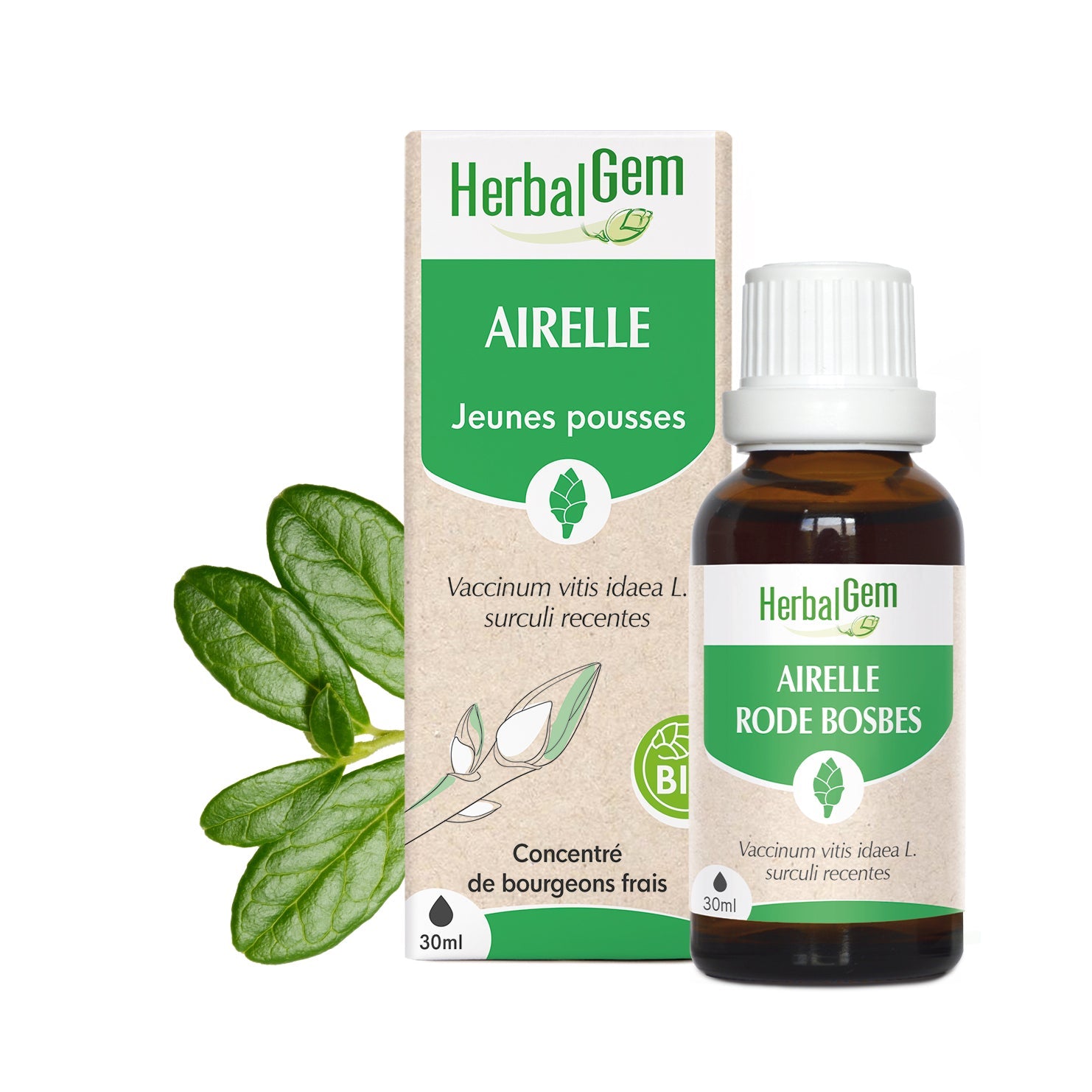 Bourgeon d'Airelle - Bio