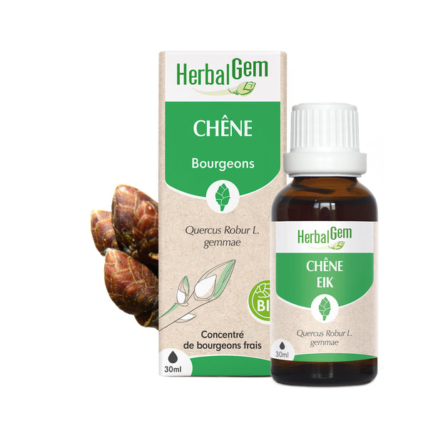 Concentré de bourgeons frais BIO Herbalgem Chêne.