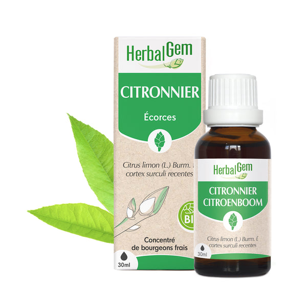 Concentré de bourgeons frais BIO Herbalgem Citronnier.