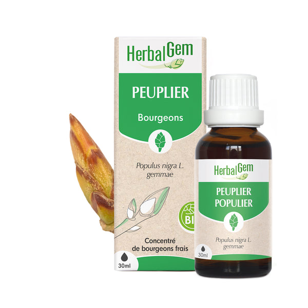 Flacon de 30ml du concentré de bourgeons frais Peuplier HerbalGem.