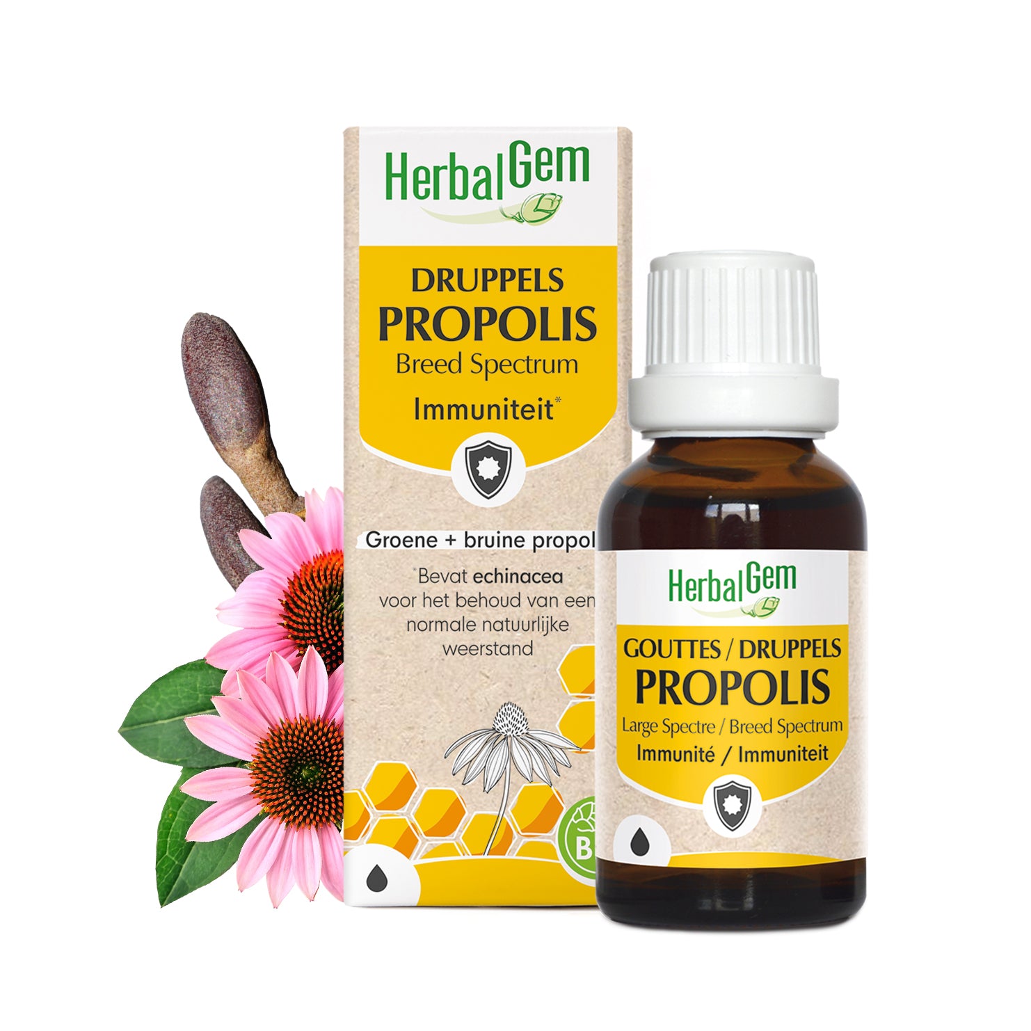 Propolis | Herbalgem