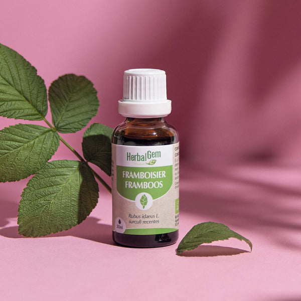 Flacon d'un bourgeon de framboisier d'HerbalGem sur fond rose.