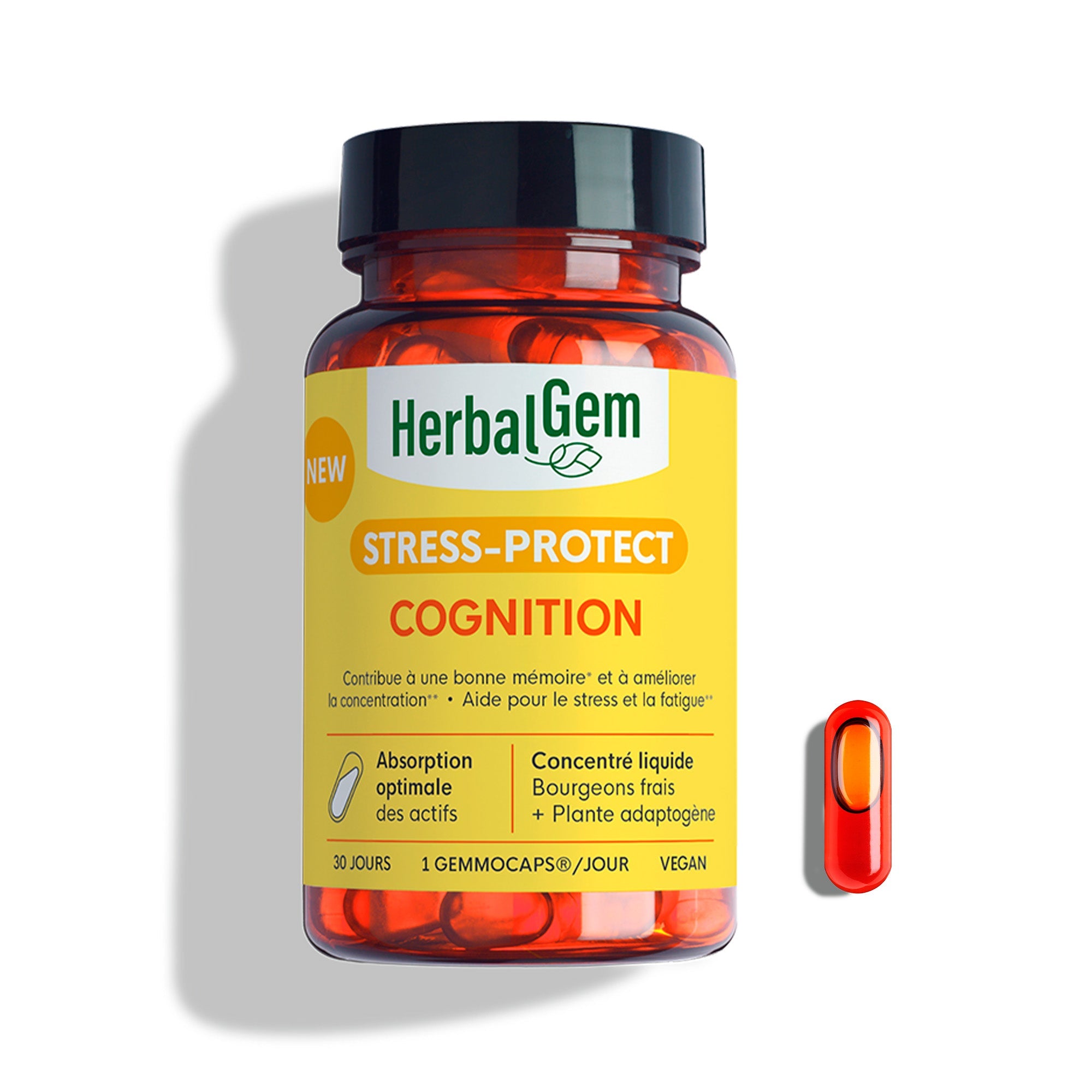 Complément alimentaire Cognition