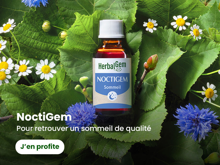 Produits noctigem-bio