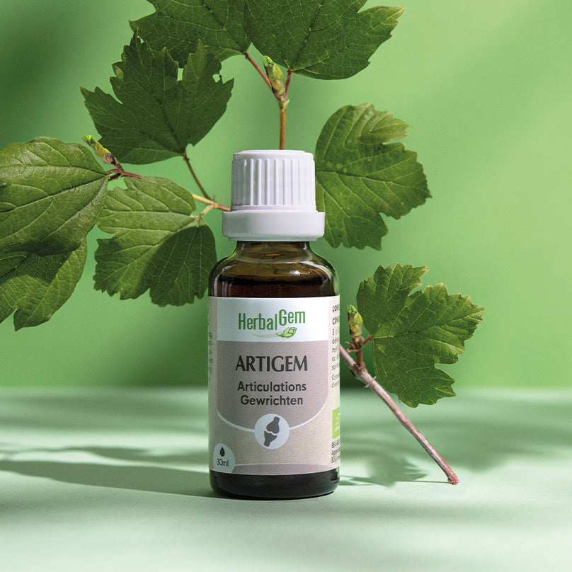 Artigem extrait de bourgeon, complément naturel pour soulager les douleurs articulaires et améliorer la mobilité.